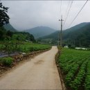 사동유원지 이미지