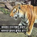타이거벨리 | 용인 에버랜드 물개쇼와 호랑이: 씨라이언빌리지 타이거밸리 추천 리뷰!