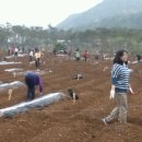 정말농장 이미지