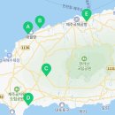 페트리코제주