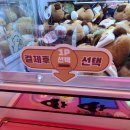 핑크뽑기방 이미지