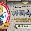 천지정 이미지