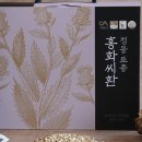 정자정동