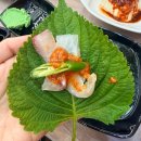 장바다횟집 | [경기/평택] 용이동 바다이야기 횟집 후기 🐟 스끼다시 잘 나오는 회 맛집, 안성 공도에서도 가까워요!