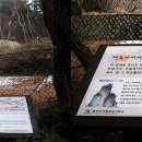 숙의홍씨 묘역 이미지