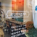 동인천 가성비좋은 미용실 '다가즈 헤어' 후기💇‍♀️