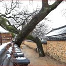 남사예담촌마을 이미지