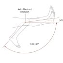 유성PT 용쓰짐 헬스장 이미지