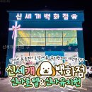 신세개 | 신세개백화점 반려견과 함께한 특별한 하루, 왜 이곳이 좋았을까?