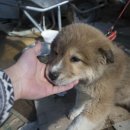 상순이네 하우스 이미지