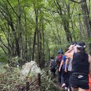 무주읍105 이미지