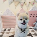 문정미용타운