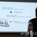 박민수신경과 머니투데이