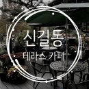 커피마마안산나무