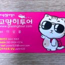 파라다이스관광여행사㈜ | 칸쿤 신혼여행 패키지 여행 추천 후기