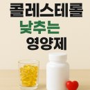뉴드림약국 | 콜레스테롤 낮추는 영양제, 내가 직접 해본 관리법과 효과 후기