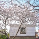 대륜동-4 이미지