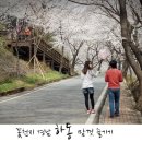 봄꽃헤어 이미지