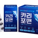 카리지