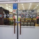곰챙이 이미지