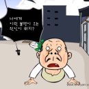 팔군노래연습장 | 2025 하이라이트 콘서트 Ride or Die 막콘 후기