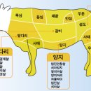 (주)프라임초이스 이미지