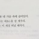 에쓰제이 이미지