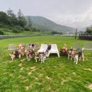 찰리팜하우스 이미지