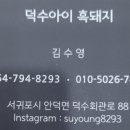 차덕수농장 네이버블로그
