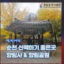향림사 | 순천여행 산책하기 좋은 도심 속 천년고찰 향림사와 향림공원