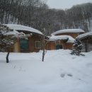 곰배령설피마을 이미지