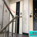 우성비취 이미지