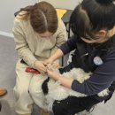 헤어멍펫살롱 이미지