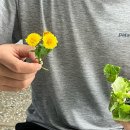 감천골 | 이 얼마 만에 일상글인지~✍🏻