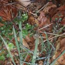 시골별장 이미지