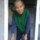 용일농장 Daum카페