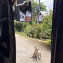 묵자 먹어봐 | [보홀 여행] 9월 보홀 4박 6일 나팔랑/아모리타/원더랜드/리코스그릴앤바베큐 (1)