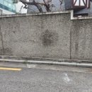 담벼락빈티지