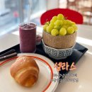 셀라스 | 부산 금정구 카페 셀라스 후기 베이커리 브런치 맛집 전시도 볼 수 있는 복합문화공간 강력추천