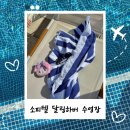 하버 | 시드니 소피텔 달링하버 수영장, 헬스장 후기