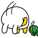 박안경원 이미지