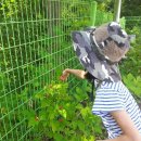 캠프클럽 이미지