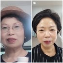 군산세계로약국 | [프로알지9+] 혼자만 먹고 싶은 동안 되는 비결, 탄력 높여주는 프로알지9+, 메가원팩, 군산시너지