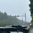 주정차단속-137 이미지