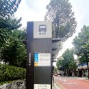 10월의 비건 테이블 | 부천 채식주의자를 위한 식당, 10월의 비건 테이블