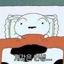 이시스 리조트 이미지