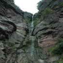 통리5일장 이미지