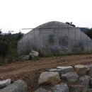 성상1리 이미지