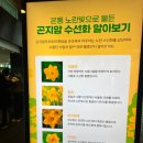 운학동하천공원_R | 곤지암 리조트 숙박으로 화담숲 표 쉽게 구하는 방법 (수선화 축제 후기)