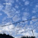 치악산둘레길 3코스 수레너미길 | 치악산둘레길 3코스 수레너미길 / 치악산국립공원~수레너미재 정상까지10km 도전기(ft. 숲속놀이터)